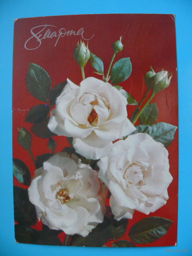 Дергилев И., 8 марта, 1990, подписана.