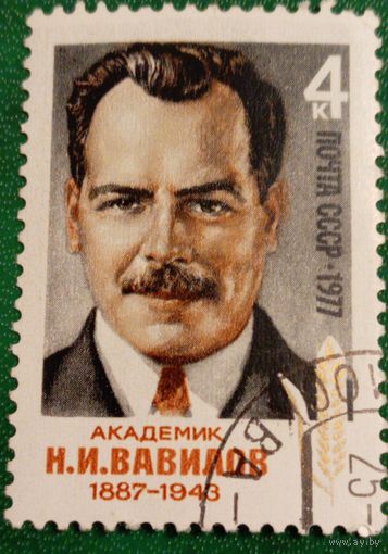 СССР 1977. Академик Н. И. Вавилова 1887-1943