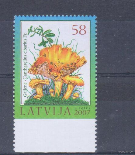 [614] Латвия 2007.Грибы. MNH