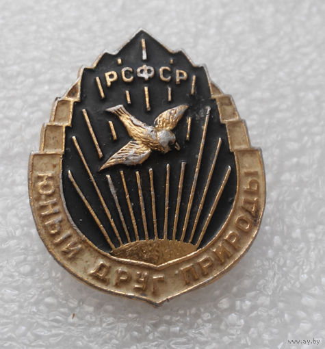 Значок. Юный друг природы. РСФСР #0273
