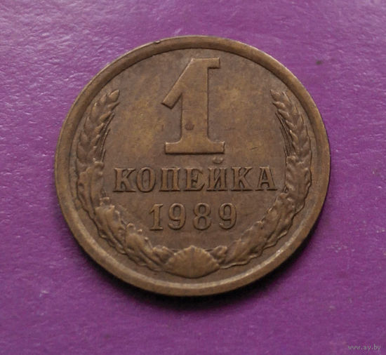1 копейка 1989 года СССР #06