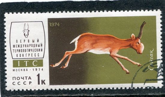 СССР 1974.. Фауна. Сайгак
