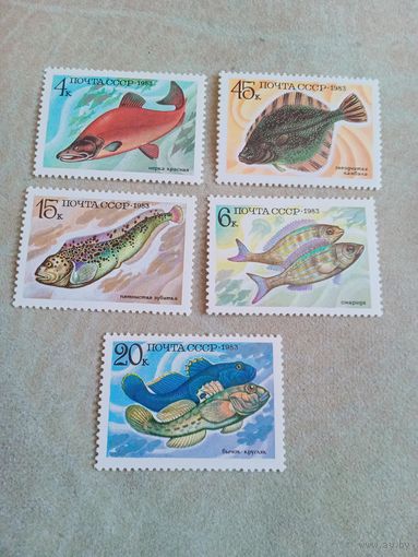 Марки СССР. Фауна. Промысловые рыбы. 1983 год. Полная серия из 5 марок. Чистые.