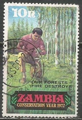 Замбия. Год окружающей среды. Посадка леса. 1972г. Mi#82.