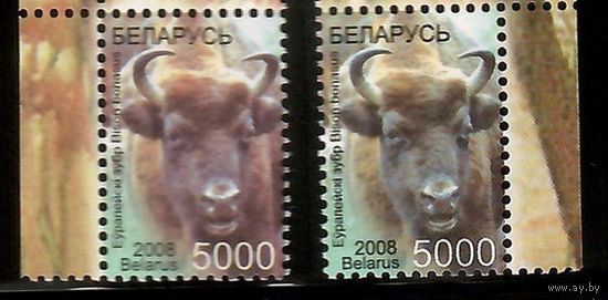 Беларусь. 2008. Фауна Стандарт. Европейский зубр (5000р) мел + офсет **
