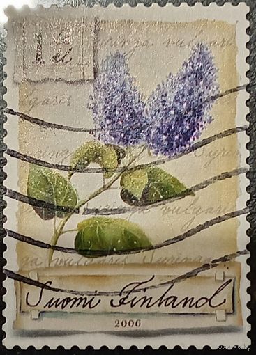 Финляндия 2006. Флора. Цветы