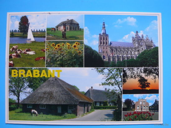 Открытка для посткроссинга (современная), прошла почту; штампы, марки, 2009 (Нидерланды-Беларусь), подписана.