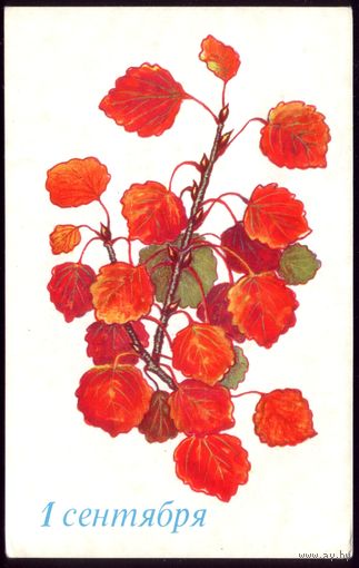 1972 год А.Соколова 1 сентября
