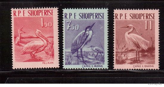 Албания-1961,(Мих.630-632)  ** , (20 % каталога), Фауна, Птицы, (кат.=20 е)