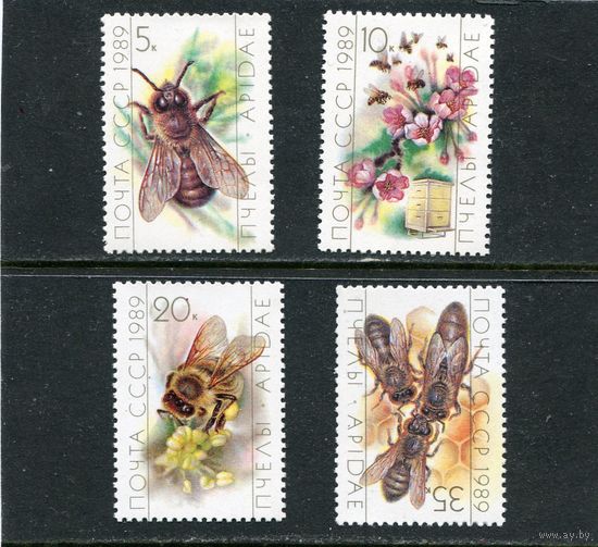 СССР 1989. Пчеловодство