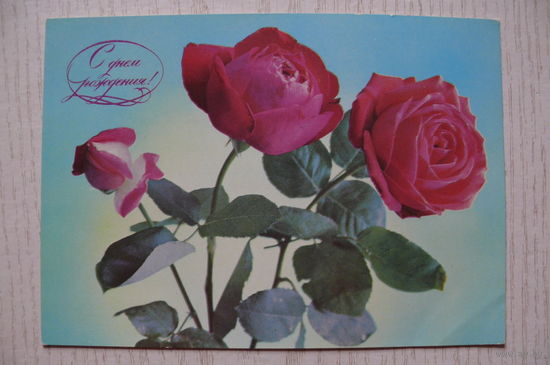 Костенко Г., С днем рождения! 1977, чистая.