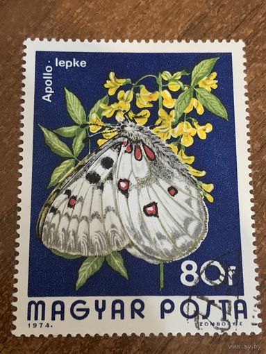 Венгрия 1974. Мотыльки. Apollo lepke. Марка из серии