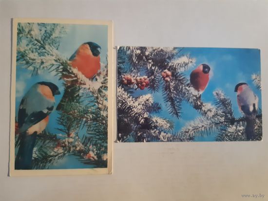 Открытки снегири 2 шт.