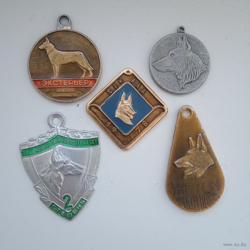 Собачьи медали (5 штук)