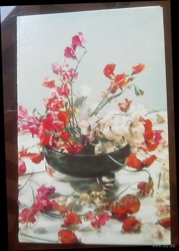 1973 год Н.Егоров