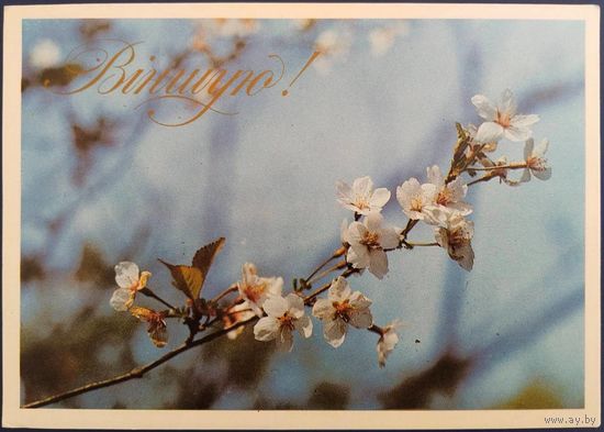 Віншую! Чистая. Беларусь. 1993 г.