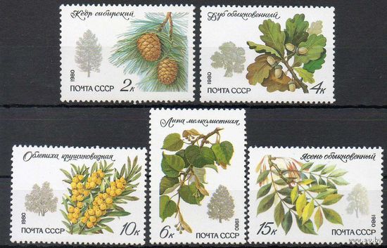Деревья и кустарники СССР 1980 год (5120-5124) серия из 5 марок