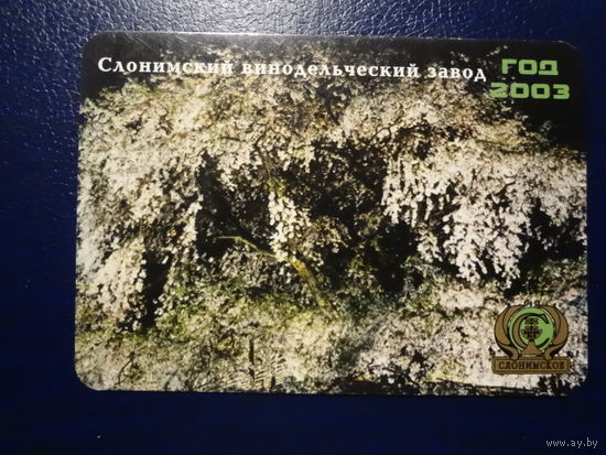 Алендарик 2003 г.  Слонимский винодельческий завод. (3).