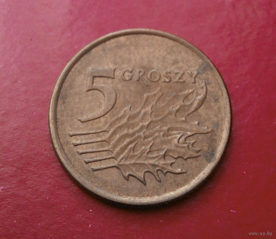 5 грошей 1991 Польша #10
