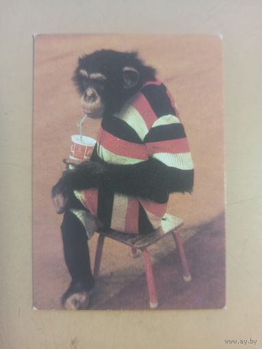 Календарь 1985 Цирк