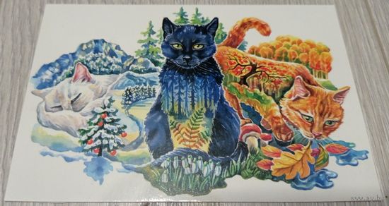 Посткроссинг. Открытка "Сезонные коты", худ.Анна Чеберяк (10х15). Прошла почту. Художественная марка, чёткий штемпель.
