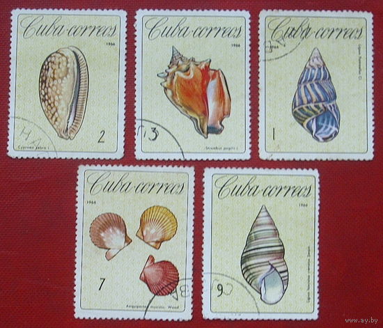 Куба. Раковины. ( 5 марок ) 1966 года. 4-18.
