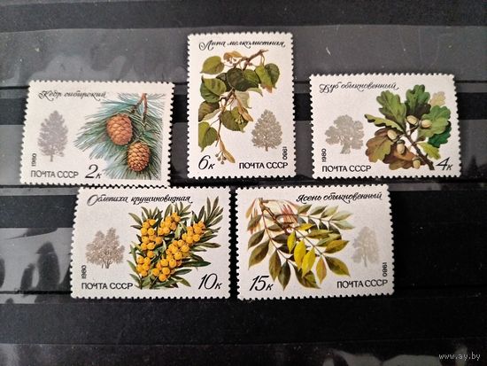 СССР. 1980г. Флора. Охраняемые породы деревьев и кустарников.