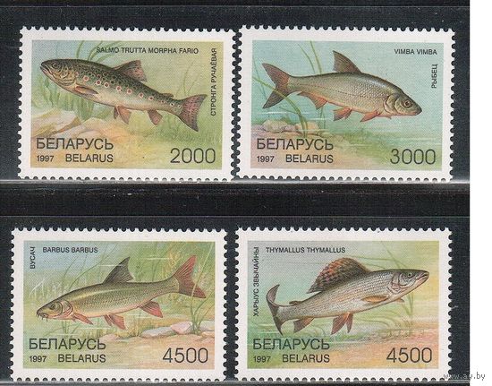 Беларусь-1997(Мих.217-220) , ** , Рыбы