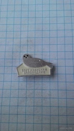 Баргузинский заповедник.