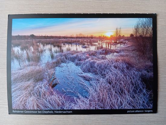 О-11. ПОДПИСАННАЯ ОТКРЫТКА. ГЕРМАНИЯ. ЗИМНЕЕ БОЛОТО.