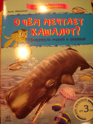 О чем мечтает кашалот? Обитатели морей и океанов
