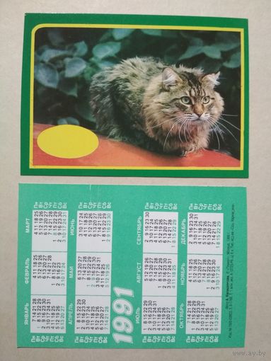 Карманный календарик. Котик. 1991 год