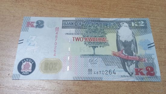 2 квача Замбии