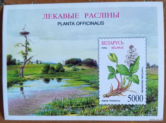 Беларусь 1996. Лекарственные растения. Блок