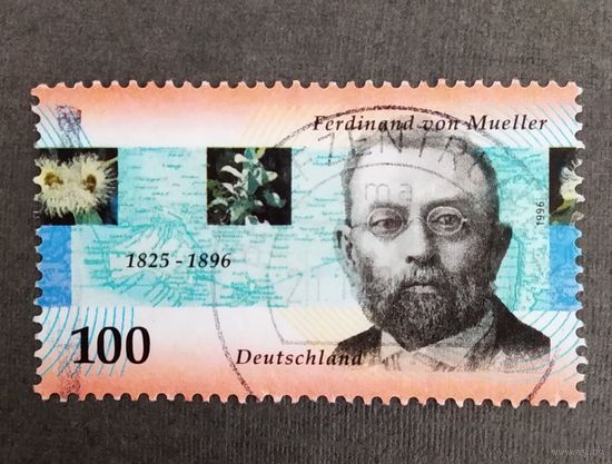 Марка Германия 1996 год 100 лет со дня смерти Фердинанда фон Мюллера