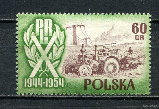 Польша - 1954 - 10-летие Польской республики 60Gr - [Mi.878] - 1 марка. MNH.  (Лот 89HU)-TG3P21