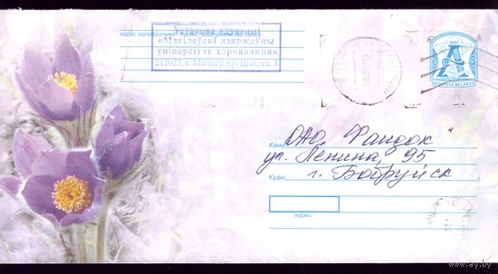 2007 год Подснежники