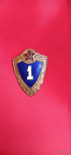 Знак Классность 1 степень  ТМ