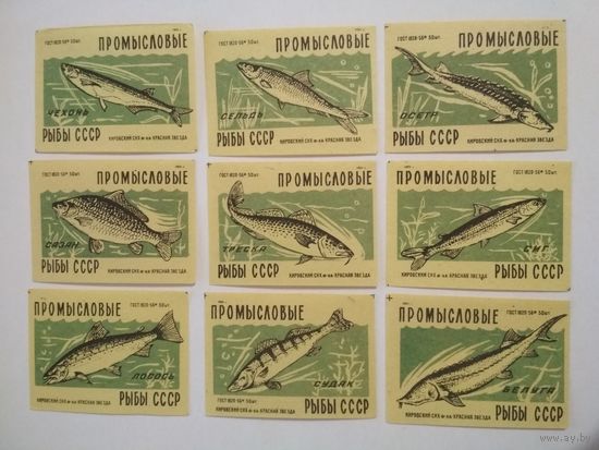 Спичечные этикетки ф.Красная звезда. Промысловые рыбы СССР. 1959 год