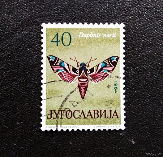 Марка Югославия 1964 год Бабочка