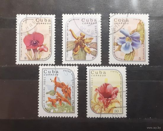 Куба. 1986 год. Флора. Цветы (227)