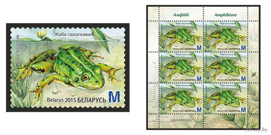 2015 БЕЛАРУСЬ   марка или малый лист "Лягушка прудовая" MNH