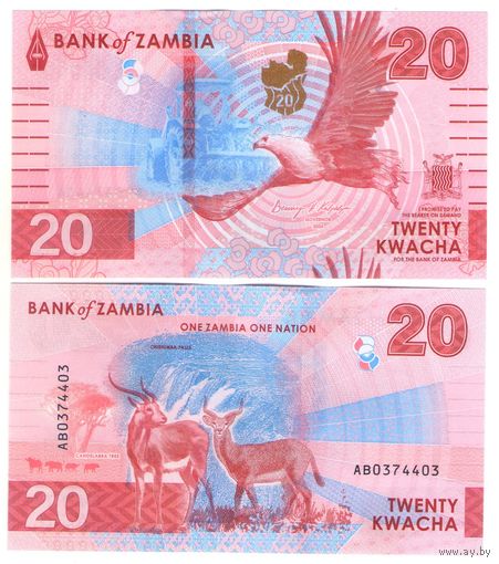 Замбия 20 квача 2024 год UNC НОВИНКА