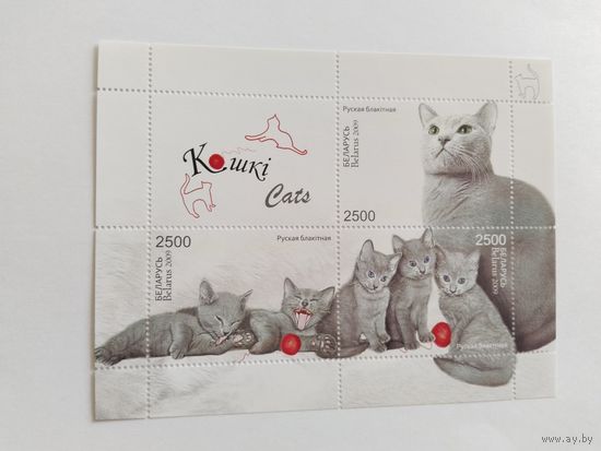 Беларусь 2009   бл.  кошки