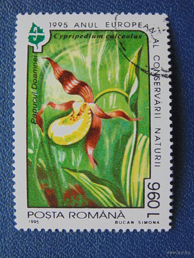 Румыния 1995 г. Цветы.