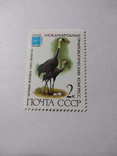 СССР 1982 МЕЖДУНАРОДНЫЙ ОРНИТОЛОГИЧЕСКИЙ КОНГРЕСС