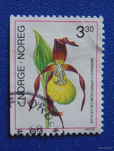 Норвегия 1992 г. Цветы.