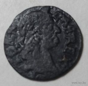 Боратинка 1666(2)