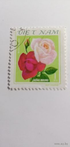 Вьетнам 1980. Розы.
