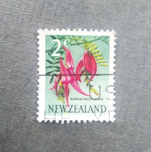 Марка Новая Зеландия 1960 год Цветы